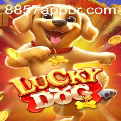 Exploring LuckyDog: A Guide to Gameplay and Exciting Features
